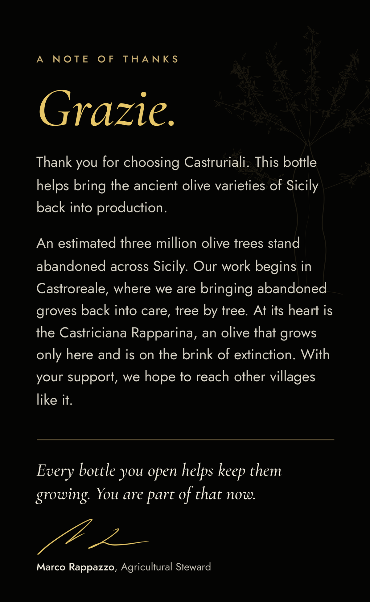 Grazie: a note of thanks from Marco Rappazzo, Agricultural Steward, on bringing Sicily’s abandoned olive groves and the Castriciana Rapparina back into care.