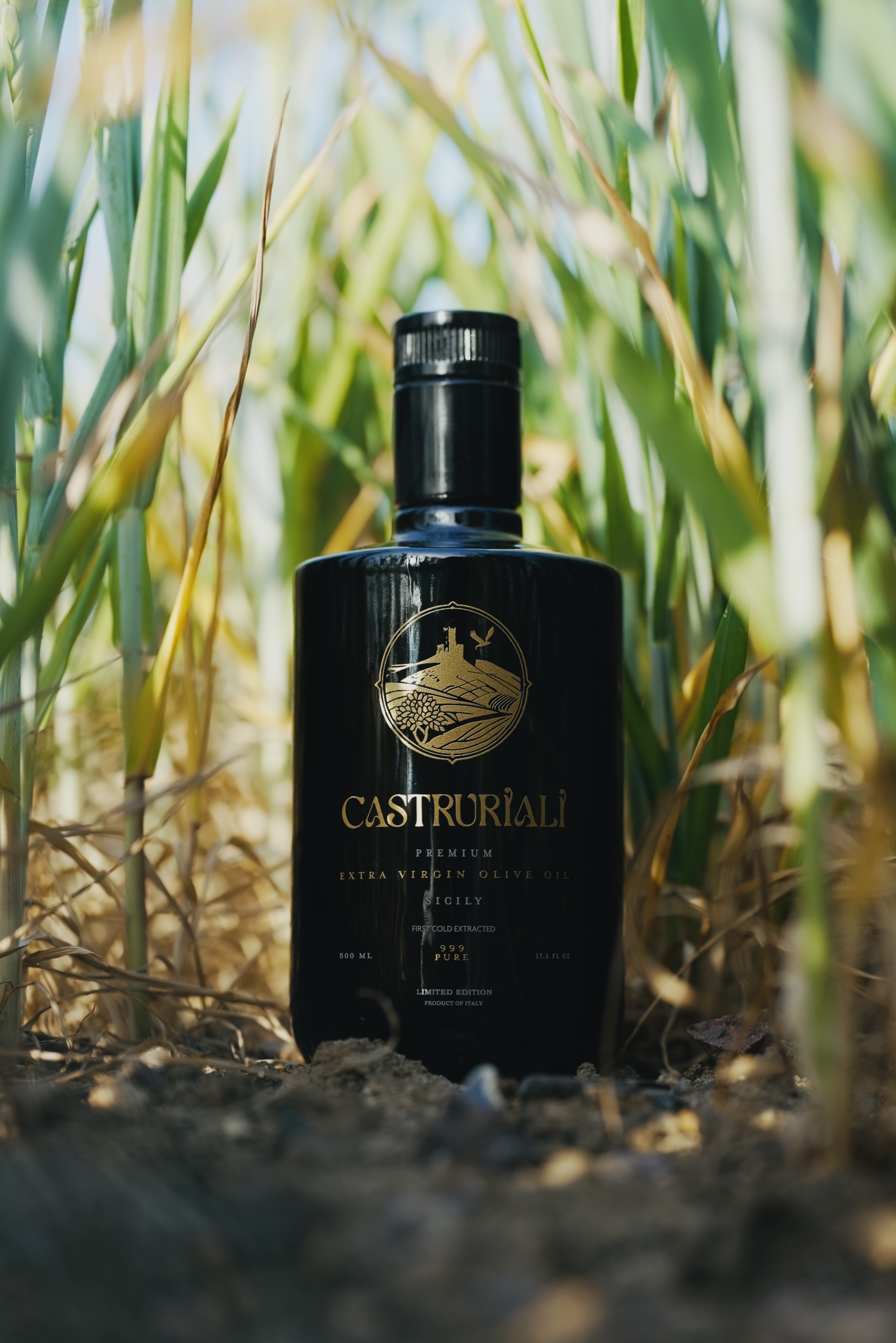 Castruriali extra virgin olive oil in the Sicilian fields