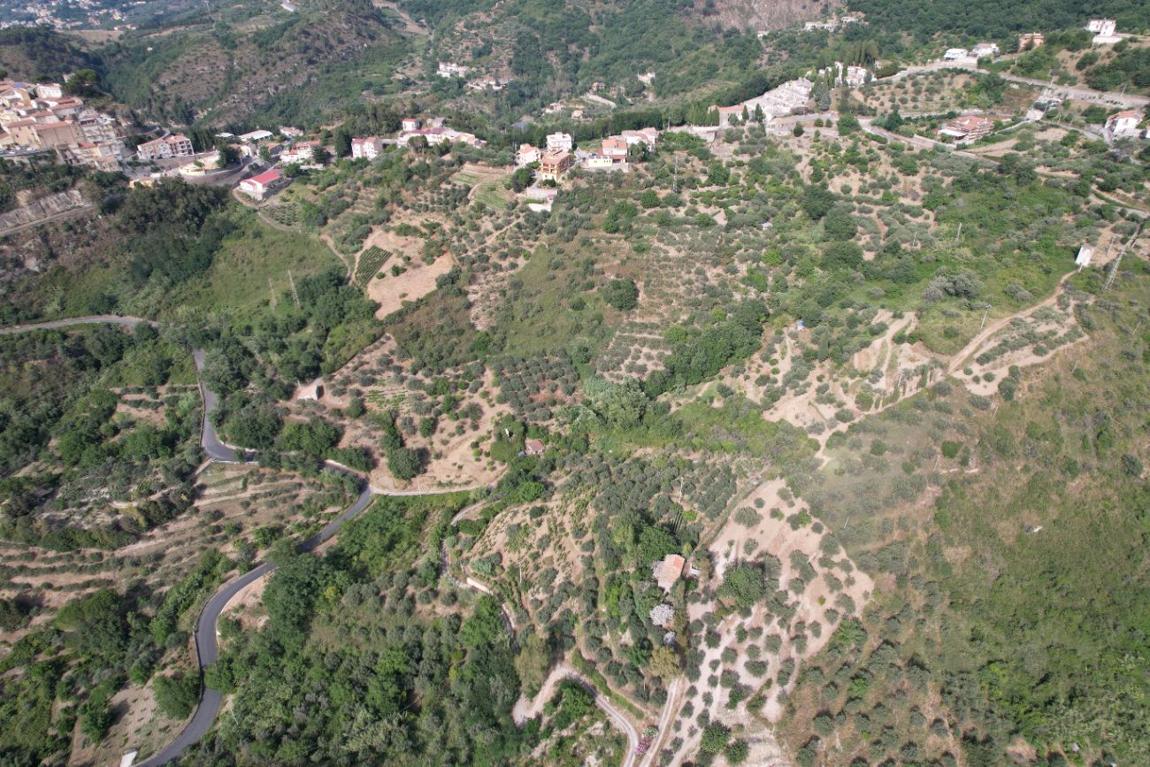 Olive groves and winding roads across the Castroreale valley