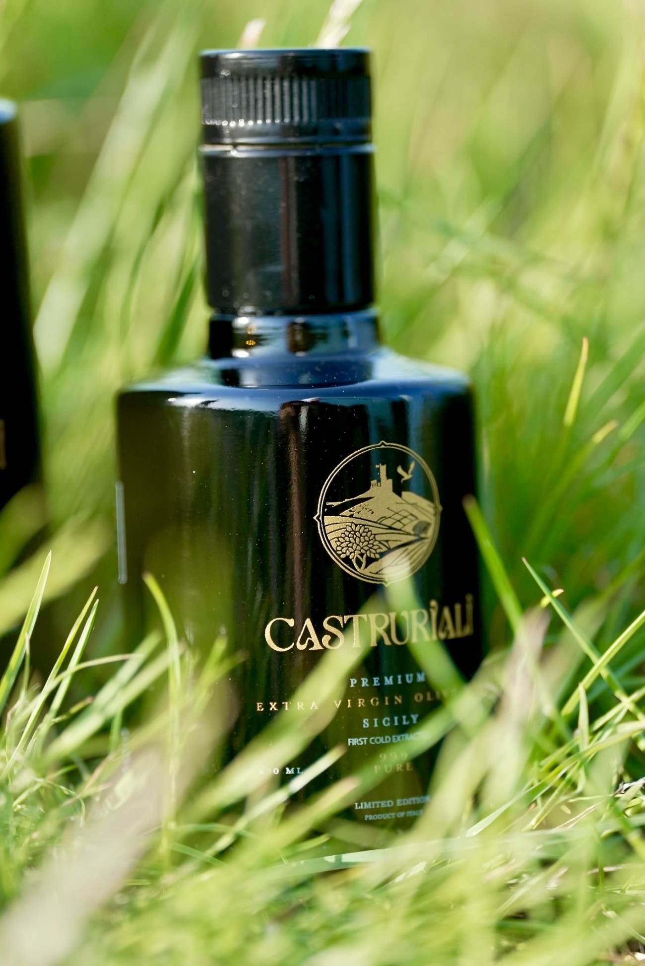 Traditional Sicilian olive grove managed by Castruriali in the Peloritani hills above Castroreale